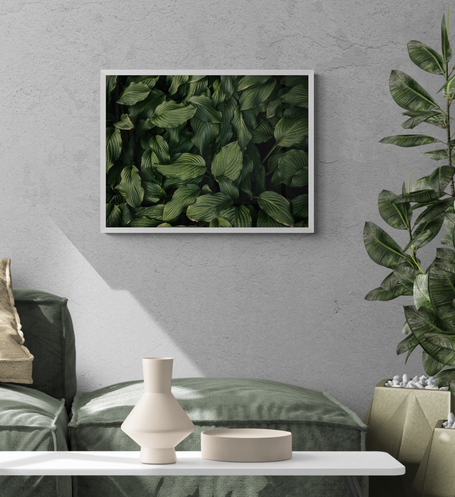 Постер без рамки "Темно-зеленые листья" в размере 30х40