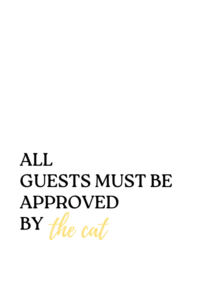 Постер без рамки "Approved the cat" в розмірі 30х40