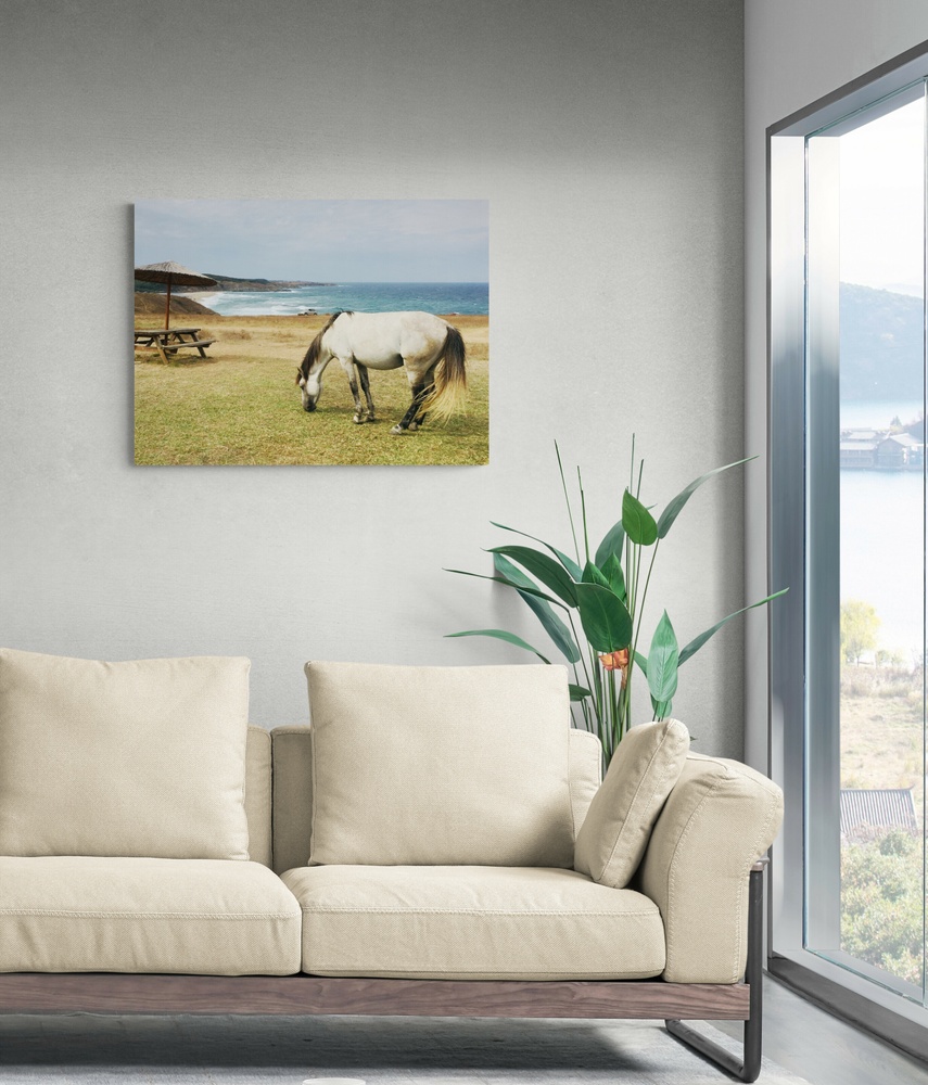 Постер без рамки "Лошадь у моря" в размере 30х40