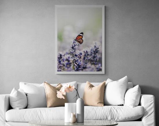 Постер без рамки "Бабочка Данаида монарх" в размере 30х40